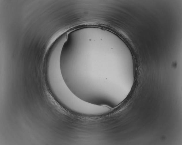 X0000116581122200912312008