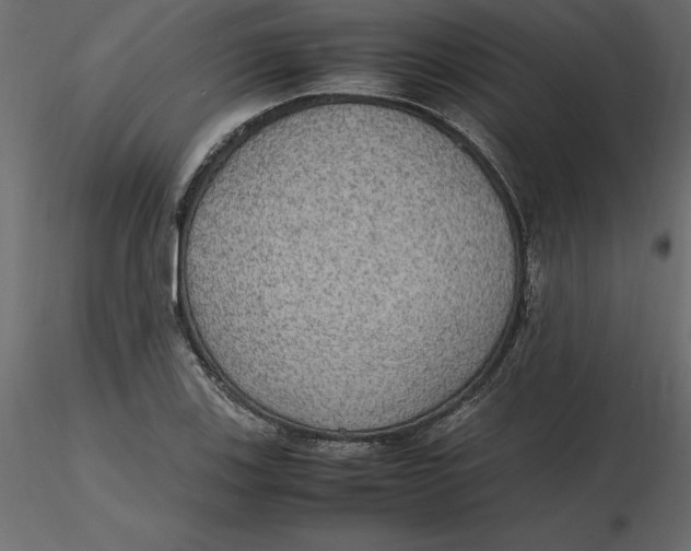 X0000116581123200912312009