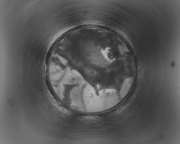 X0000116581125200912312009