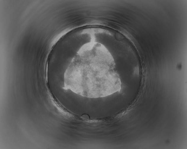 X0000116581127200912312009