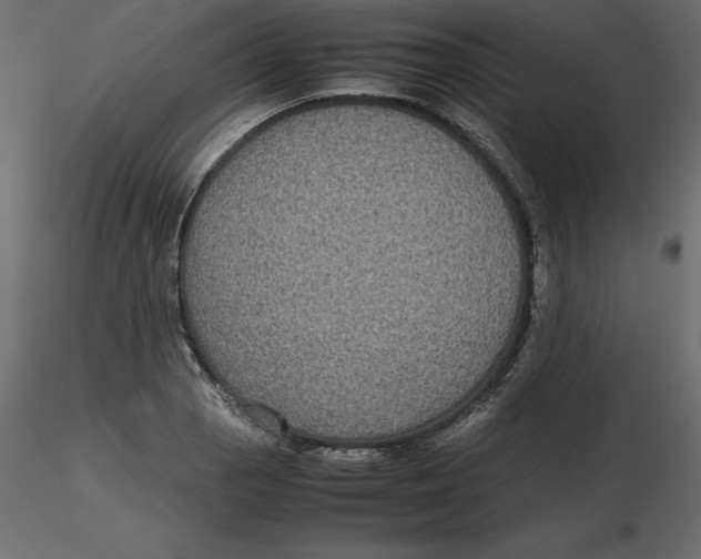 X0000116581129200912312009