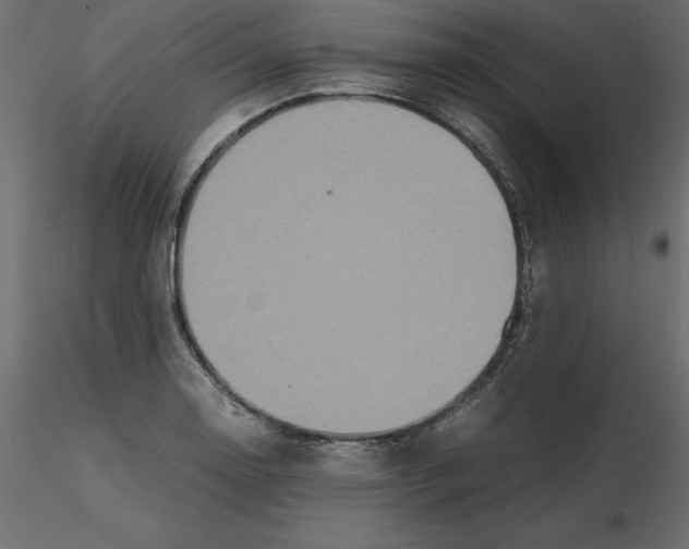 X0000116581130200912312009