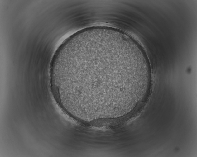 X0000116581133200912312009