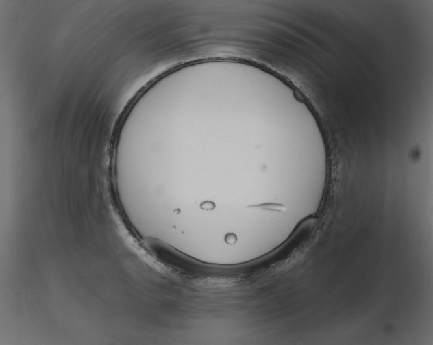 X0000116581134200912312009