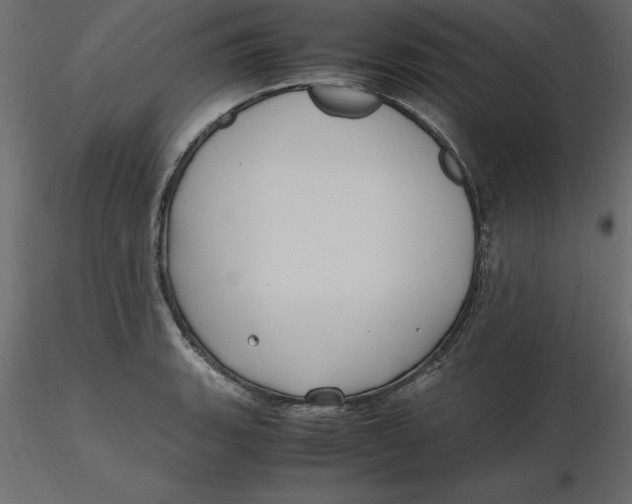 X0000116581135200912312009