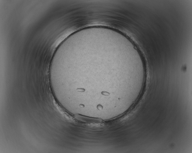 X0000116581137200912312009