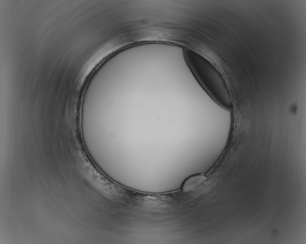 X0000116581138200912312009