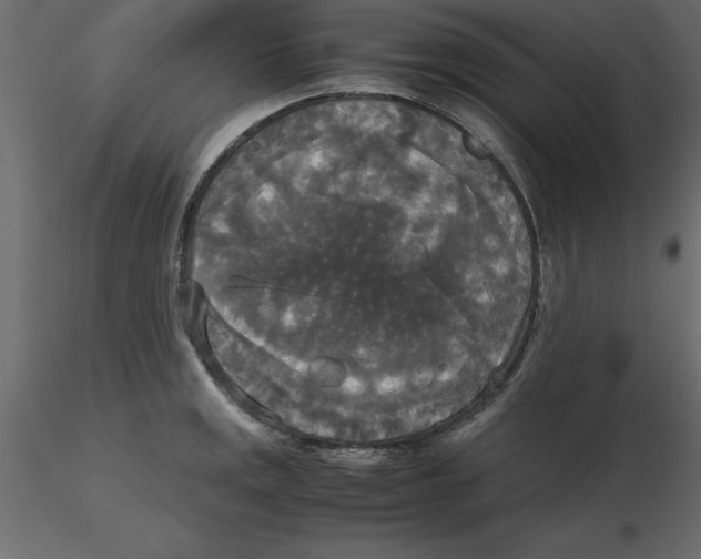 X0000116581141200912312009