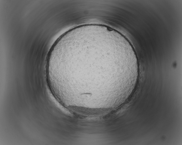 X0000116581142200912312009