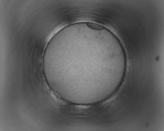 X0000116581145200912312009