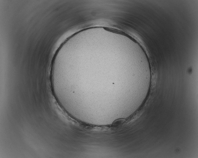 X0000116581146200912312009