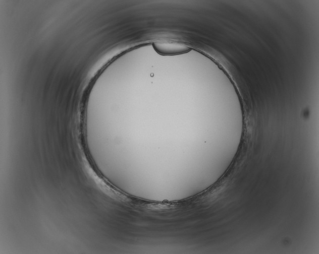 X0000116581147200912312009