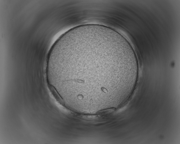 X0000116581149200912312009