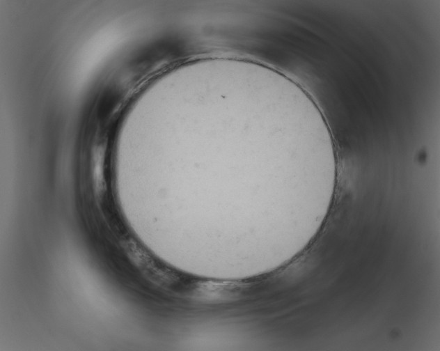 X0000116581150200912312009