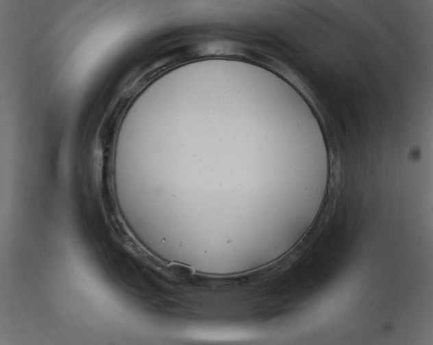 X0000116581151200912312009