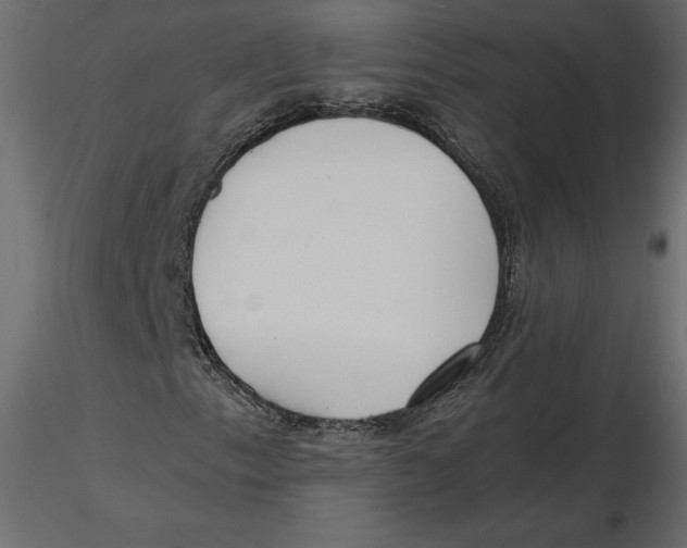 X0000116581153200912312008