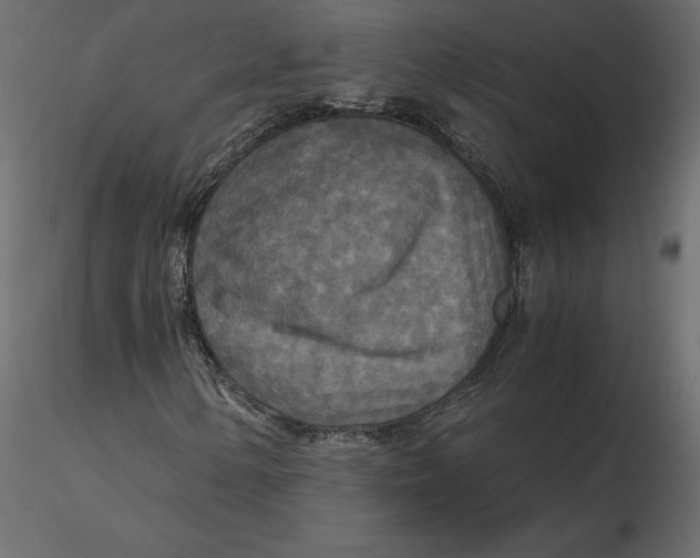 X0000116581154200912312008