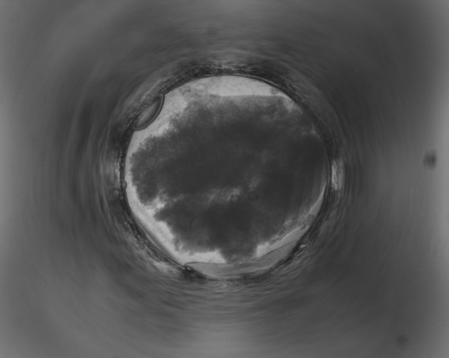 X0000116581155200912312008