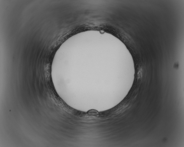 X0000116581156200912312008