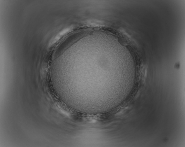 X0000116581157200912312008