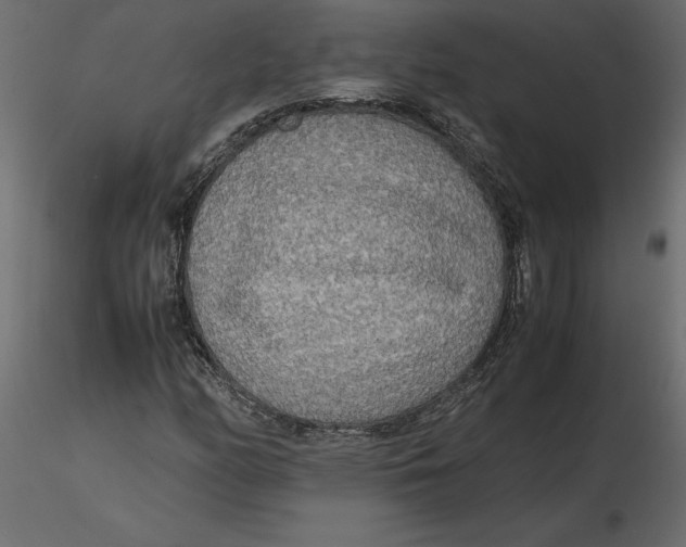 X0000116581158200912312008