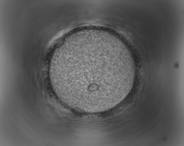 X0000116581159200912312008