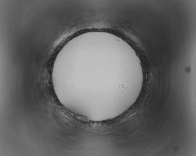 X0000116581160200912312008