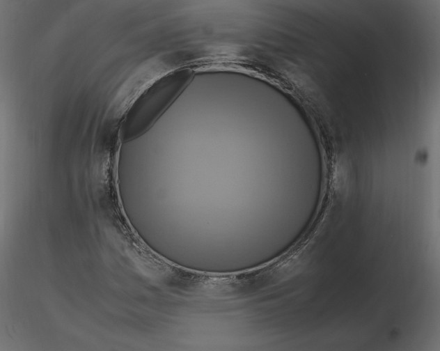 X0000116581161200912312008