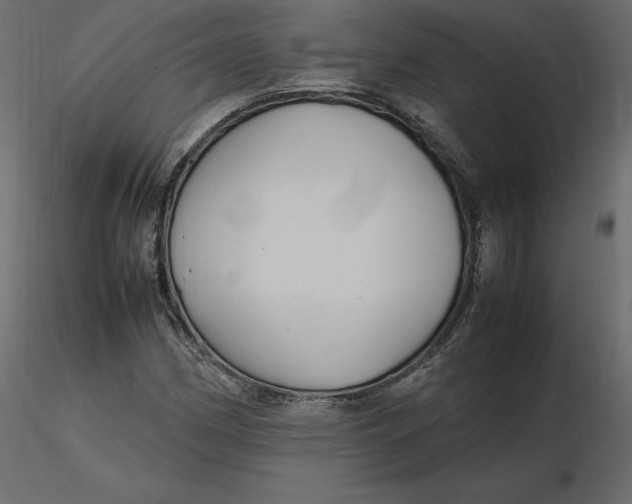 X0000116581162200912312008