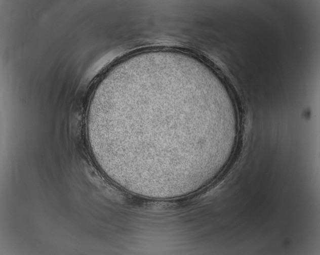 X0000116581163200912312008