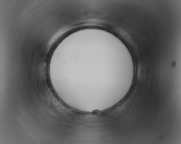 X0000116581164200912312008