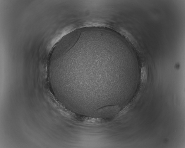 X0000116581165200912312008