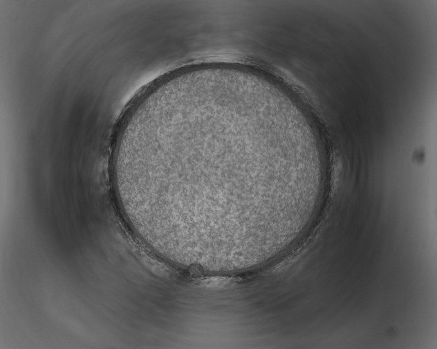 X0000116581166200912312008