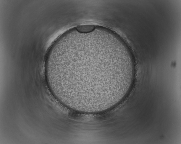 X0000116581167200912312008