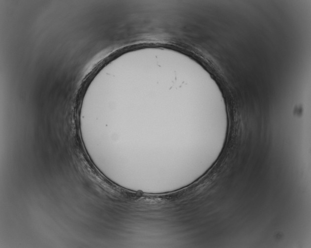 X0000116581168200912312008