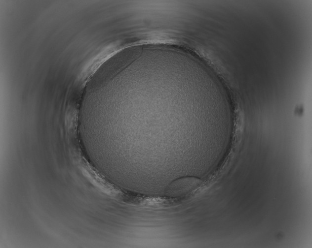 X0000116581169200912312008