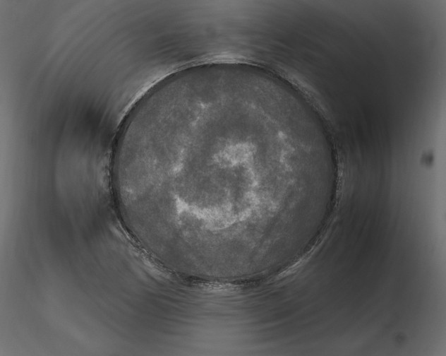 X0000116581170200912312008