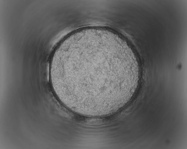 X0000116581171200912312008