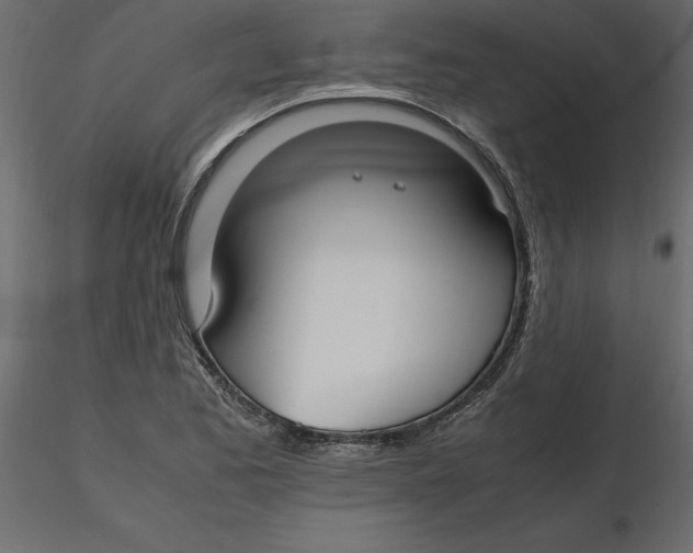 X0000116581173200912312008