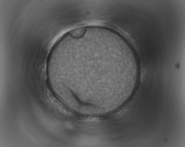 X0000116581174200912312008