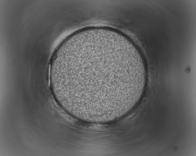 X0000116581175200912312008