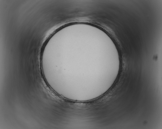 X0000116581176200912312008