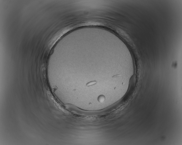 X0000116581177200912312008