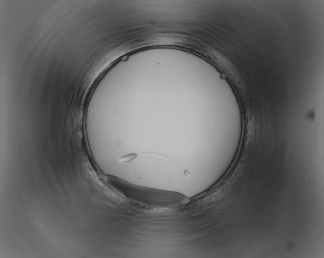 X0000116581178200912312008