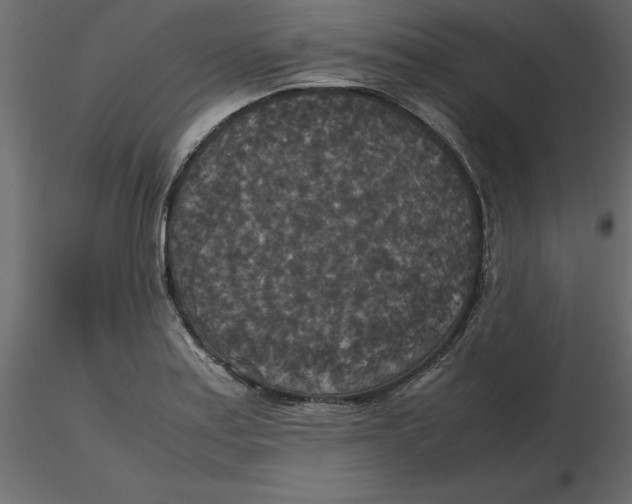 X0000116581179200912312008