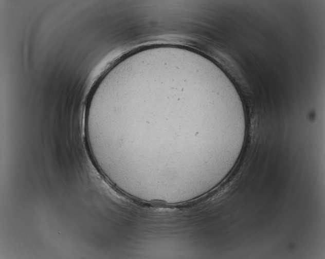 X0000116581180200912312008