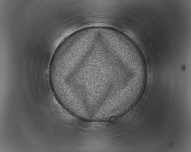 X0000116581181200912312008