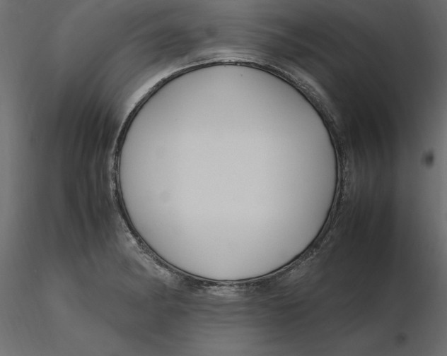 X0000116581182200912312008