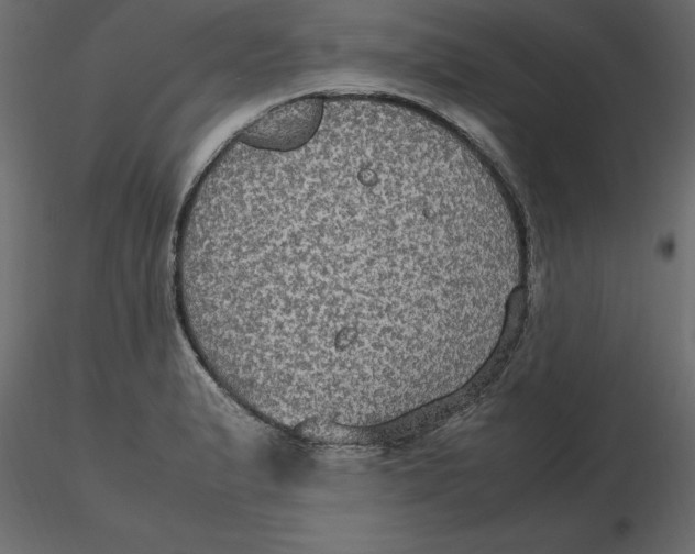 X0000116581183200912312008