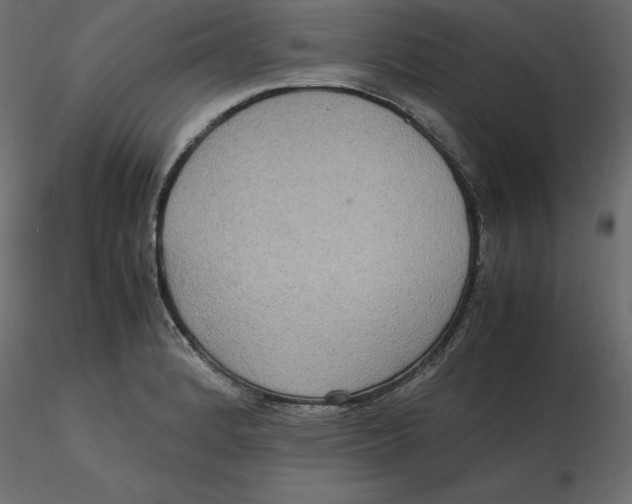 X0000116581184200912312008